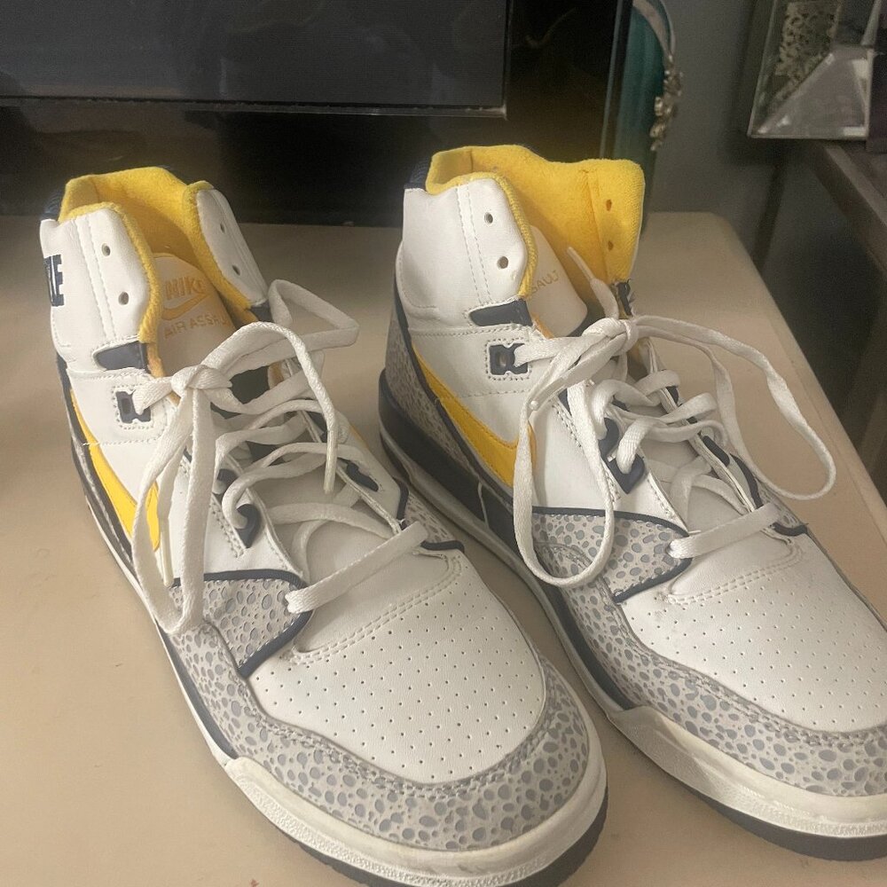 NEVER WORN NIKE AIR HIGH TOPS